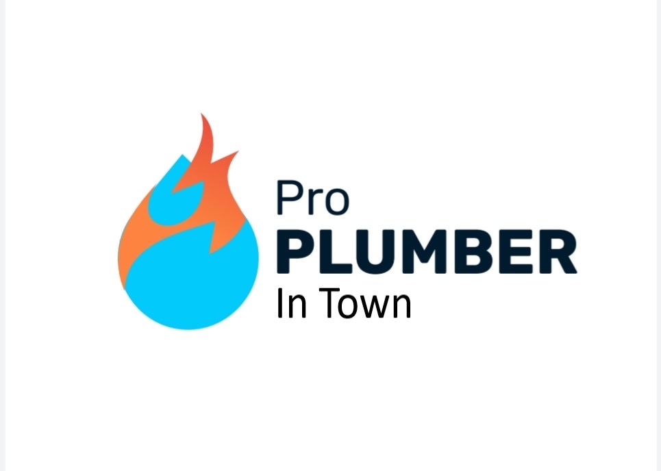 Pro Plumber In Town logo